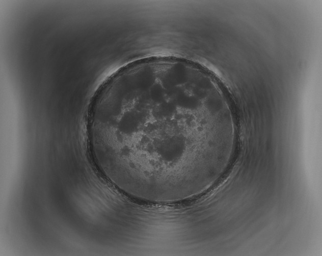X0000113631263200909181509
