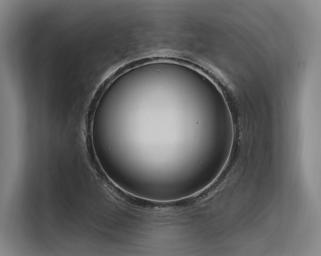 X0000113631264200909181509
