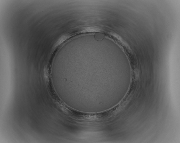 X0000113631266200909181509