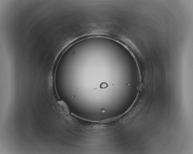 X0000113631268200909181509