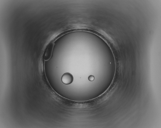 X0000113631269200909181509