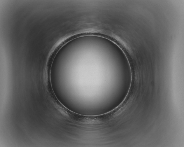 X0000113631270200909181509