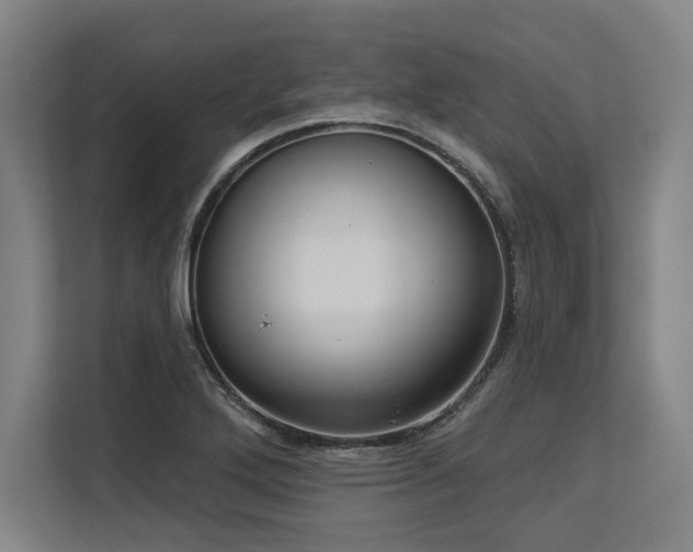 X0000113631272200909181509