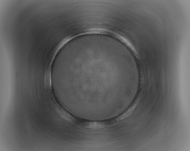 X0000113631275200909181509