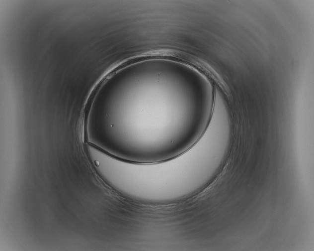 X0000113631276200909181509