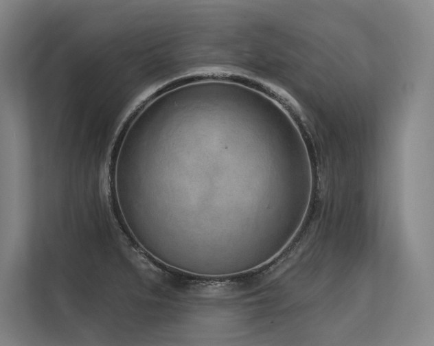 X0000113631279200909181509