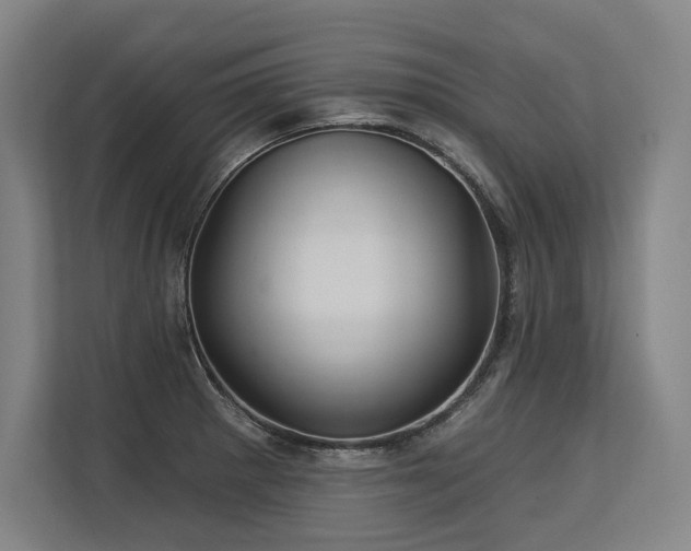 X0000113631281200909181509