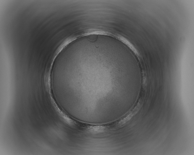 X0000113631282200909181509