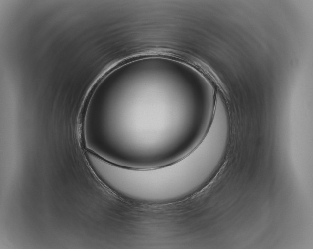 X0000113631284200909181509