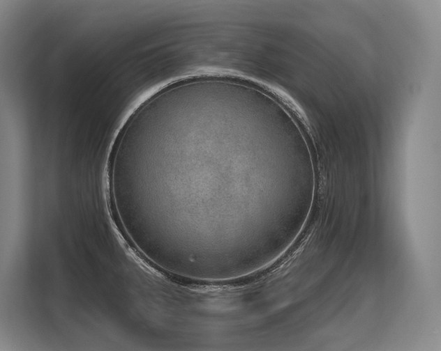 X0000113631287200909181509