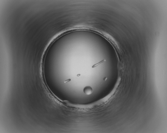 X0000113631288200909181509