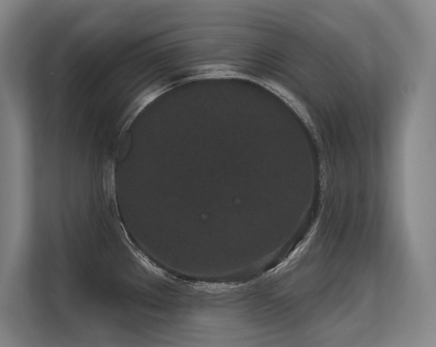 X0000113631289200909181509