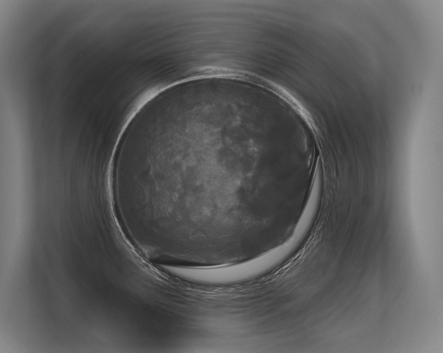 X0000113631291200909181509