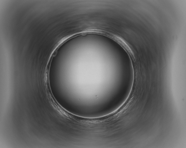 X0000113631292200909181509