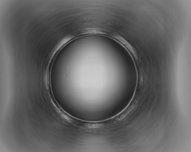 X0000113631293200909181509