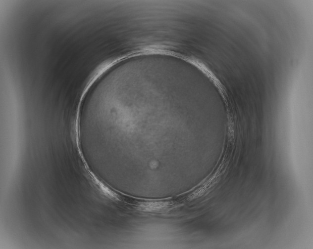 X0000113631294200909181509