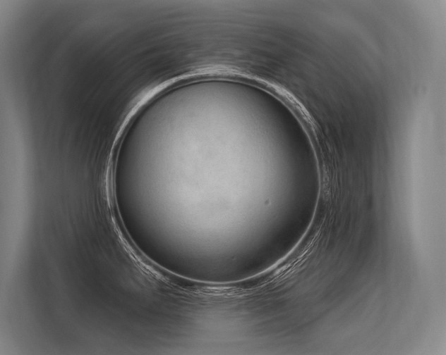 X0000113631295200909181509