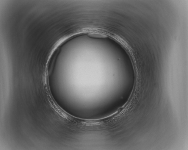 X0000113631296200909181509