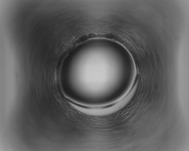 X0000113631298200909181508
