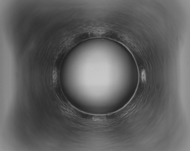 X0000113631299200909181508