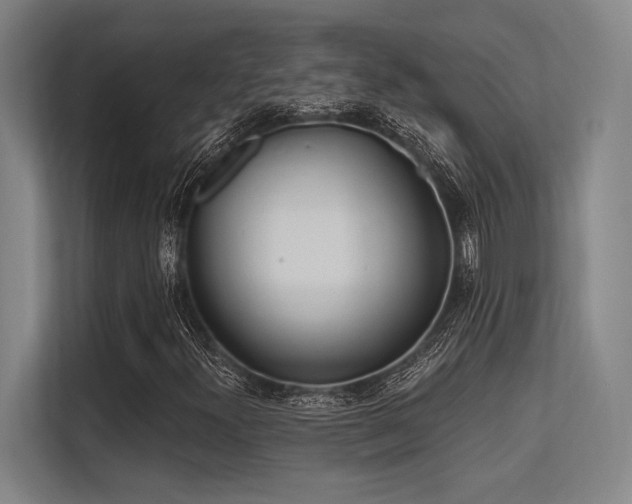 X0000113631300200909181508