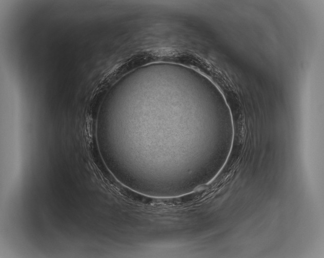 X0000113631301200909181508