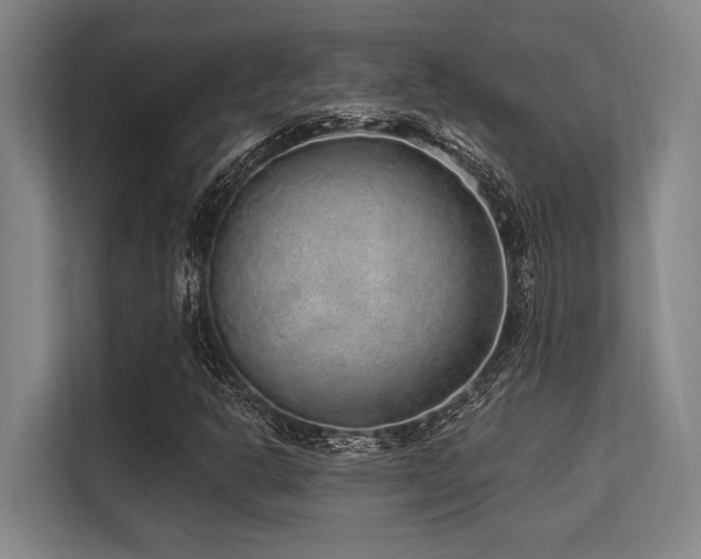 X0000113631302200909181508