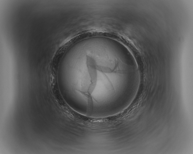 X0000113631303200909181508