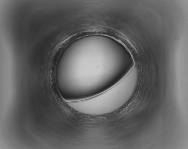X0000113631304200909181508