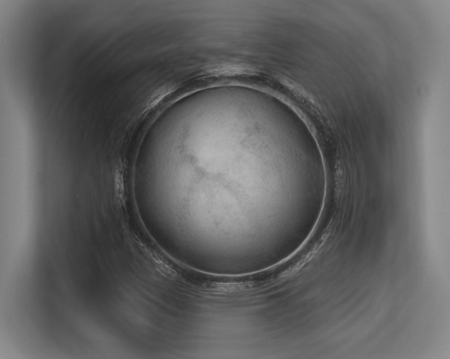X0000113631305200909181508