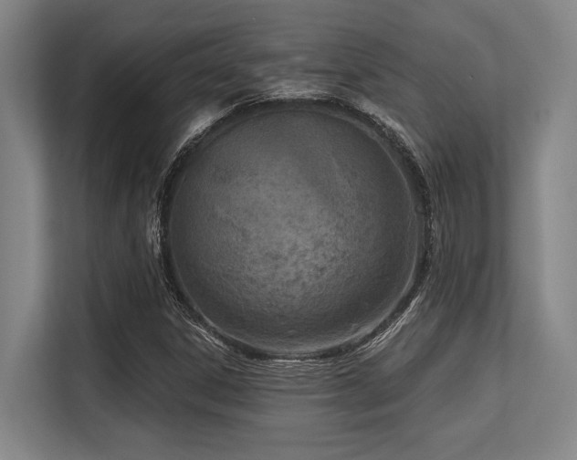 X0000113631306200909181508
