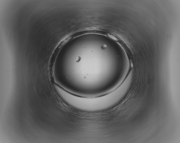 X0000113631308200909181508