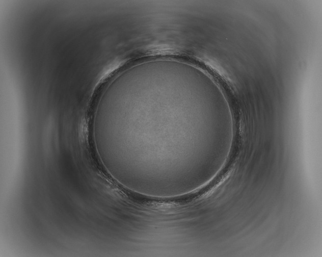 X0000113631309200909181508
