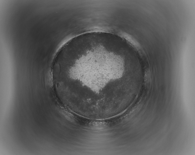 X0000113631310200909181508