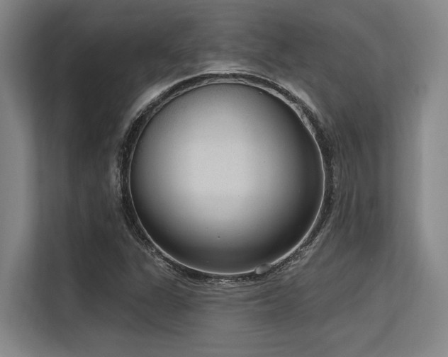 X0000113631311200909181508