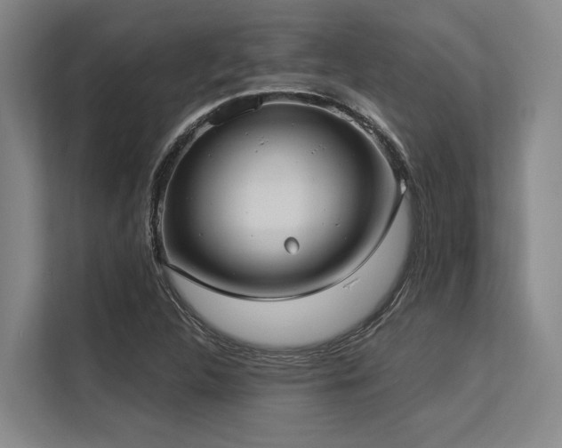 X0000113631312200909181508