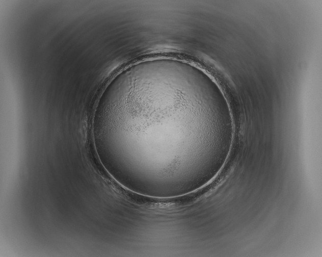 X0000113631313200909181508