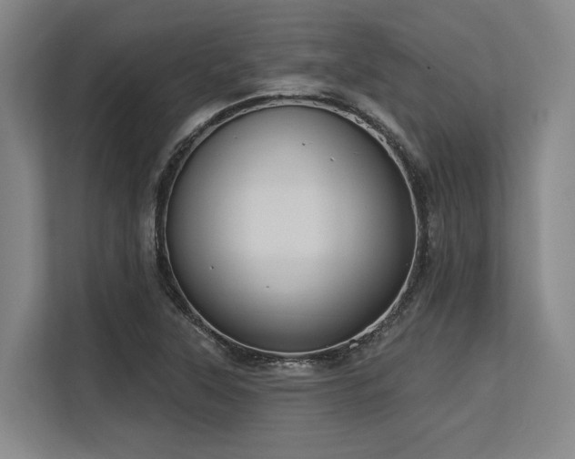 X0000113631315200909181509