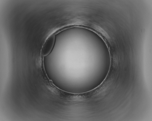 X0000113631316200909181509