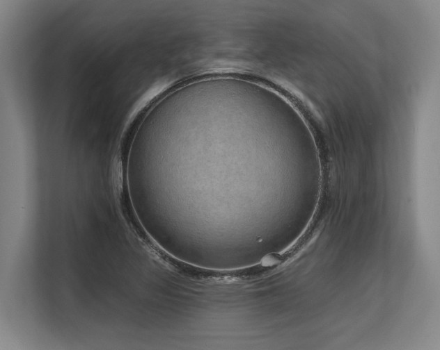 X0000113631317200909181509