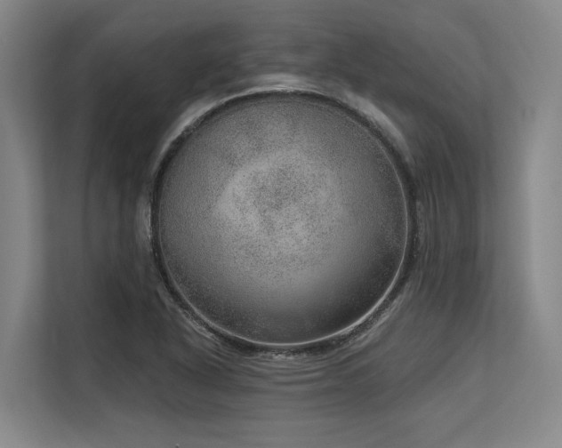 X0000113631318200909181509