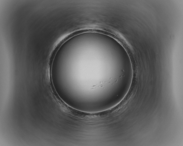 X0000113631320200909181509