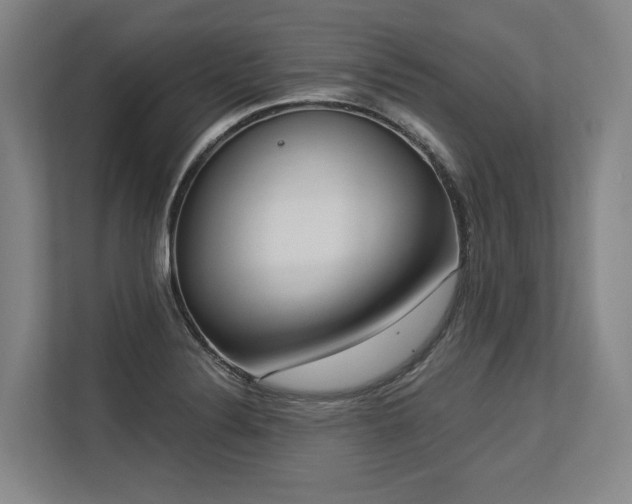 X0000113631324200909181509