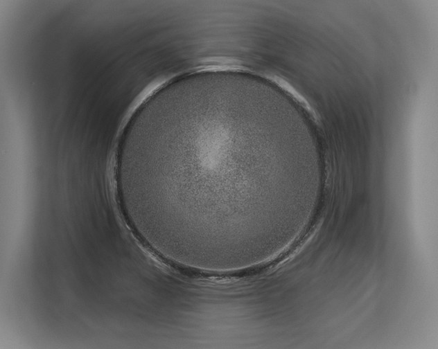 X0000113631325200909181509