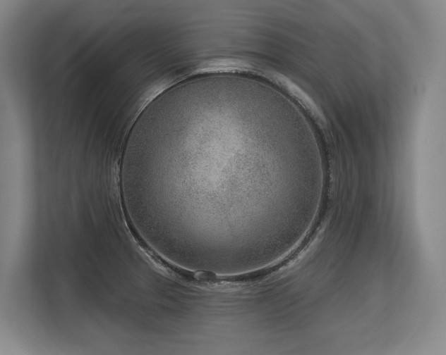 X0000113631329200909181509