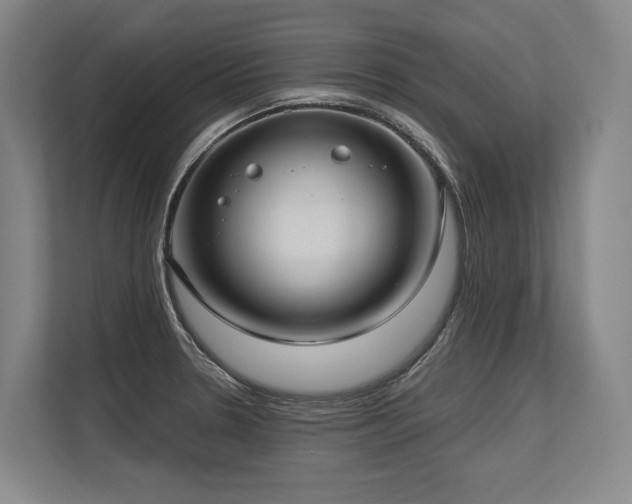 X0000113631330200909181509