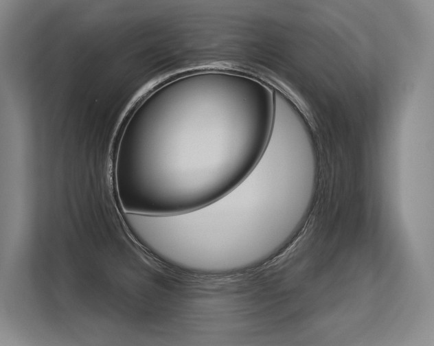 X0000113631332200909181509