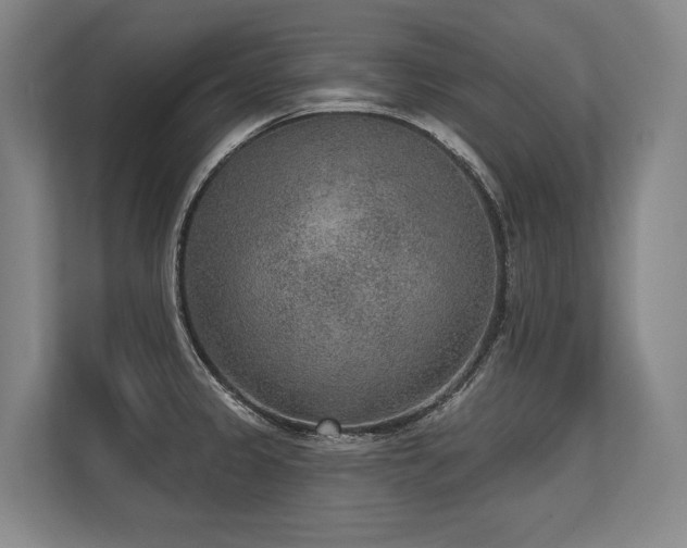 X0000113631333200909181509