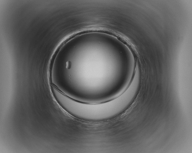 X0000113631334200909181509
