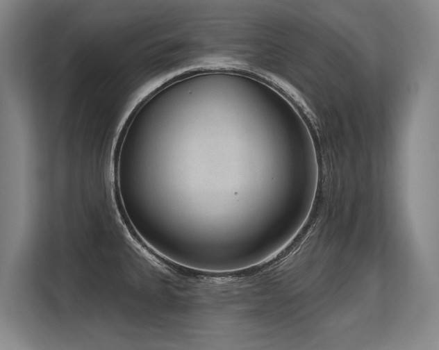 X0000113631335200909181509